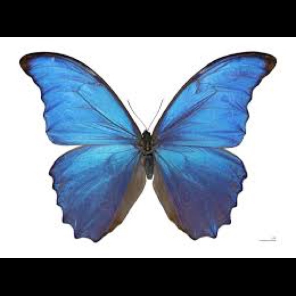 Meet your Posher, Marina - Picture 1 of 1